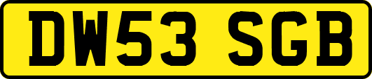 DW53SGB