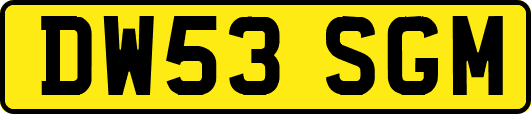 DW53SGM
