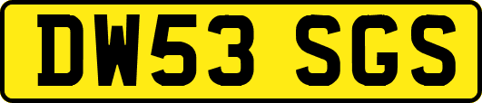 DW53SGS