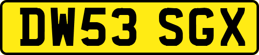 DW53SGX