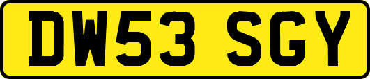 DW53SGY