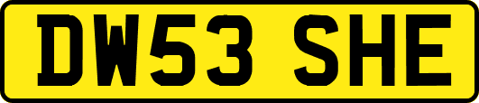 DW53SHE