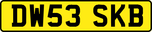 DW53SKB