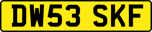 DW53SKF