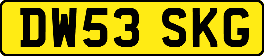 DW53SKG