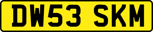 DW53SKM