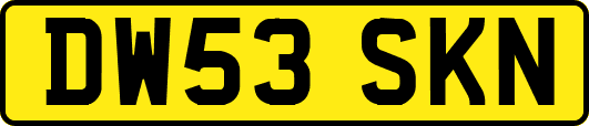 DW53SKN