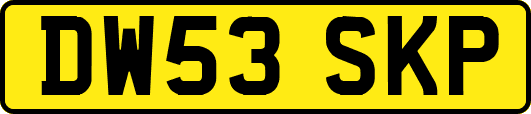 DW53SKP