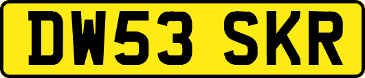 DW53SKR