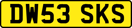 DW53SKS
