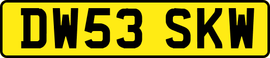 DW53SKW