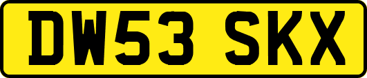 DW53SKX