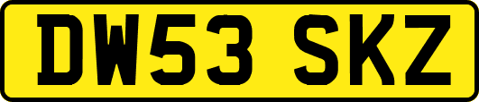 DW53SKZ