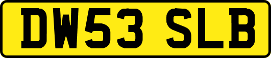 DW53SLB