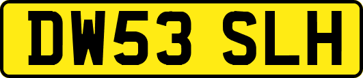 DW53SLH