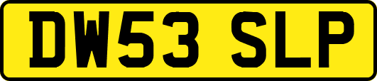 DW53SLP