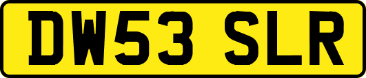 DW53SLR