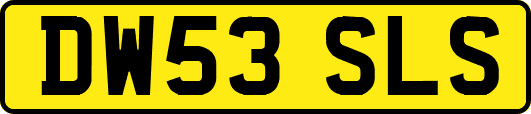 DW53SLS