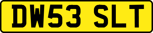DW53SLT