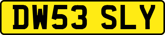 DW53SLY