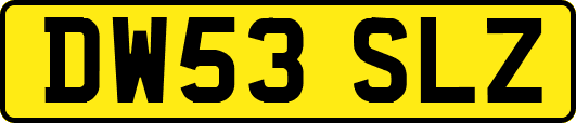 DW53SLZ