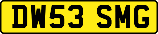 DW53SMG