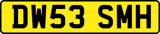 DW53SMH