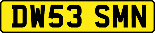 DW53SMN