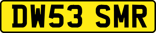 DW53SMR