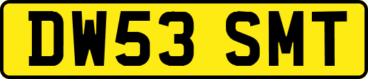 DW53SMT