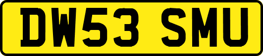 DW53SMU