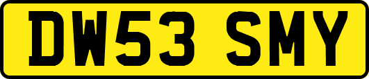 DW53SMY