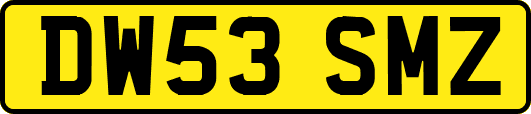 DW53SMZ