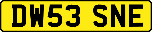 DW53SNE