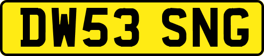 DW53SNG