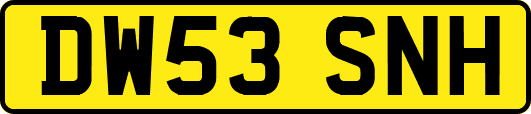 DW53SNH