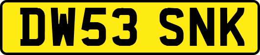 DW53SNK