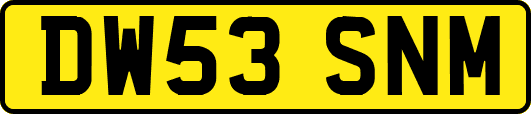 DW53SNM