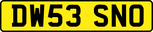 DW53SNO