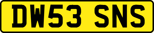 DW53SNS
