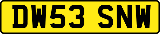DW53SNW