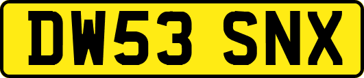 DW53SNX