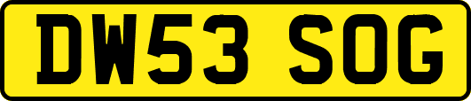 DW53SOG