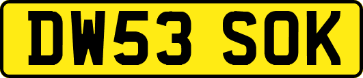 DW53SOK