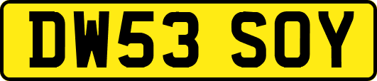DW53SOY