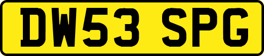 DW53SPG