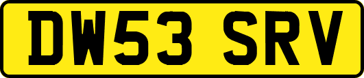 DW53SRV