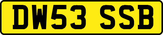 DW53SSB