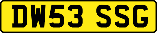 DW53SSG