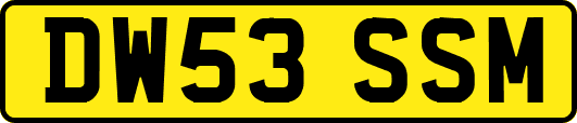 DW53SSM